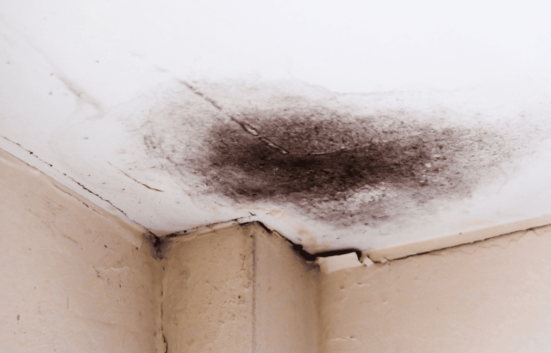 Waterschade en schimmel in de hoek van een dak door vocht en condensatie.