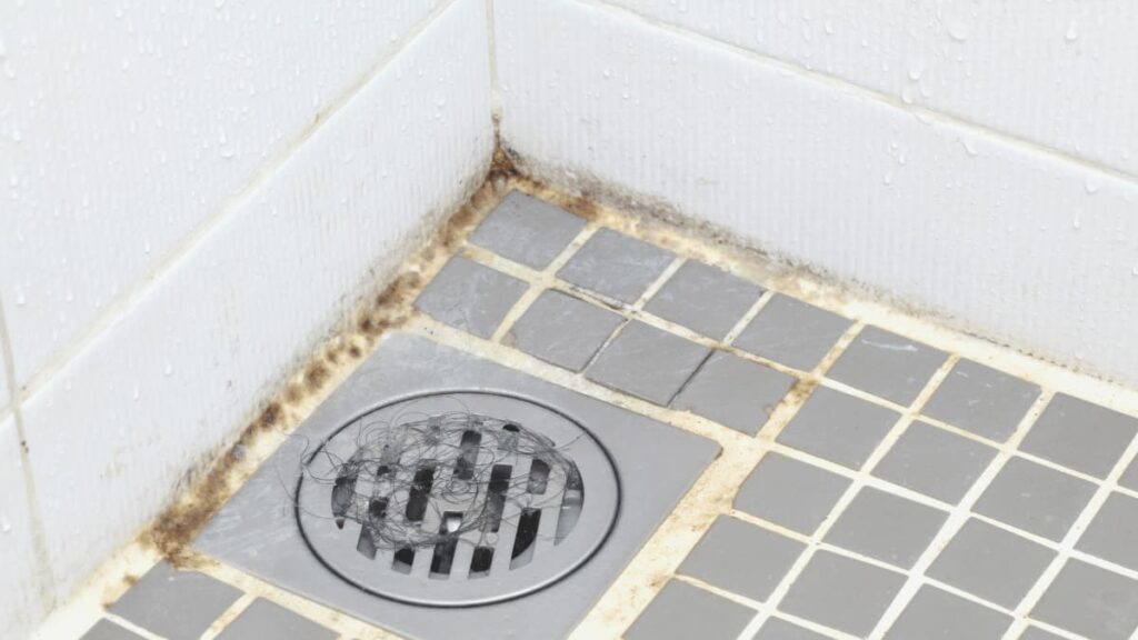 Close-up van zwarte schimmel in de douchebak.