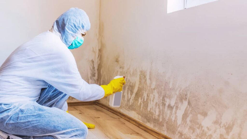 Een specialist in vochtbestrijding pakt de binnenmuur aan.