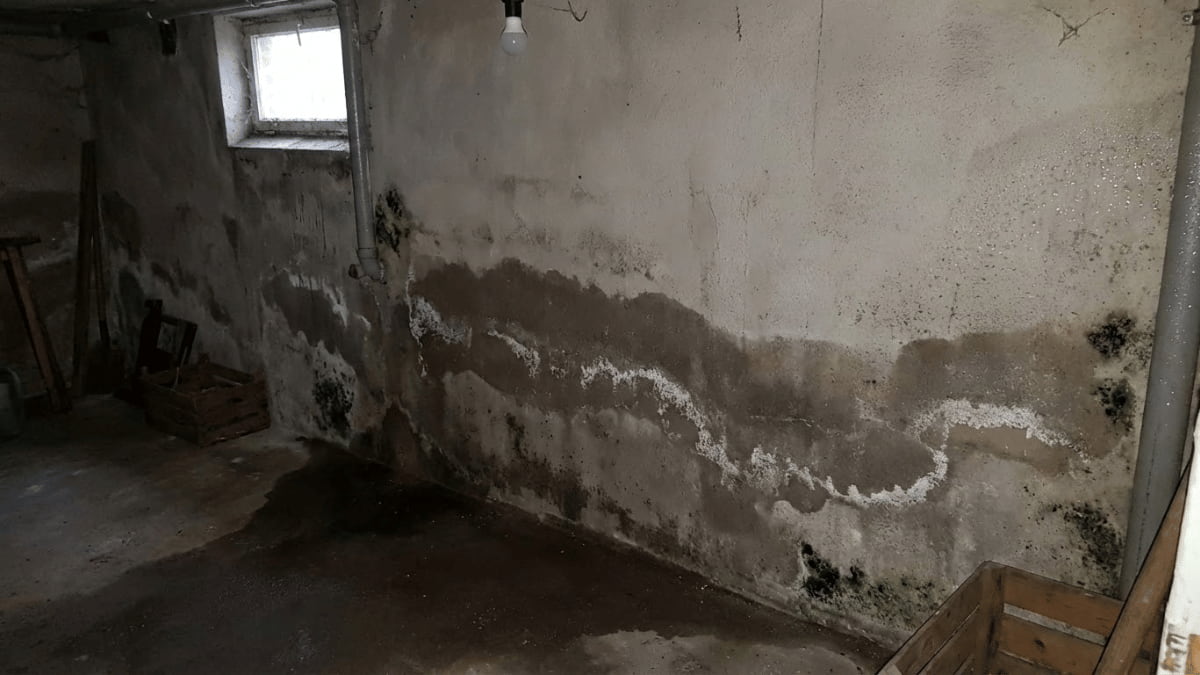 Kelderruimte met een sterk vochtige muur, zichtbaar aan vochtplekken, zoutuitslag en schimmelvorming langs de onderzijde van de muur.
